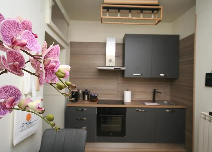 Casa Vacanze Oikia - Room Orchidea Napoli, Italia