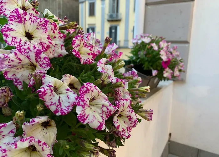 Appartamento la terrazza sul porto Napoli, Italia